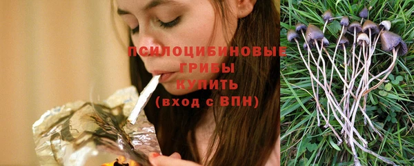 МДПВ Ладушкин